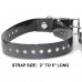 Dog Training Shock Collar|PST-211 Electronic Remote Training Shock Collar for 1 2 Dogs